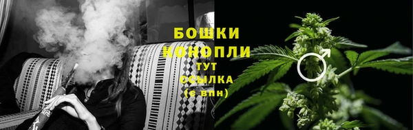 2c-b Краснослободск