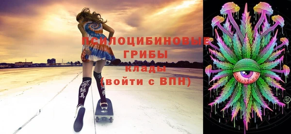 дурь Краснотурьинск