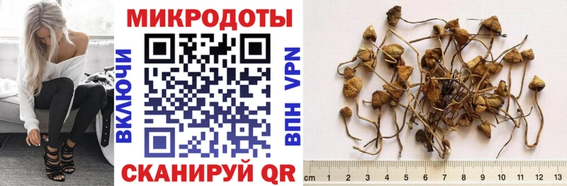 Псилоцибиновые грибы Psilocybine cubensis  Купить закладки  Истра 